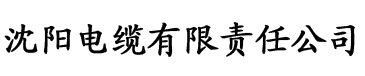 香蕉片油炸电缆厂logo